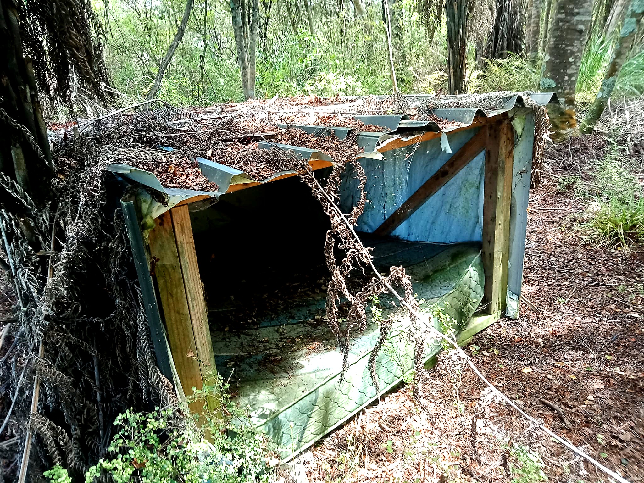 Illegally erected shed in the Stewardship Reserve, Orapiu Road