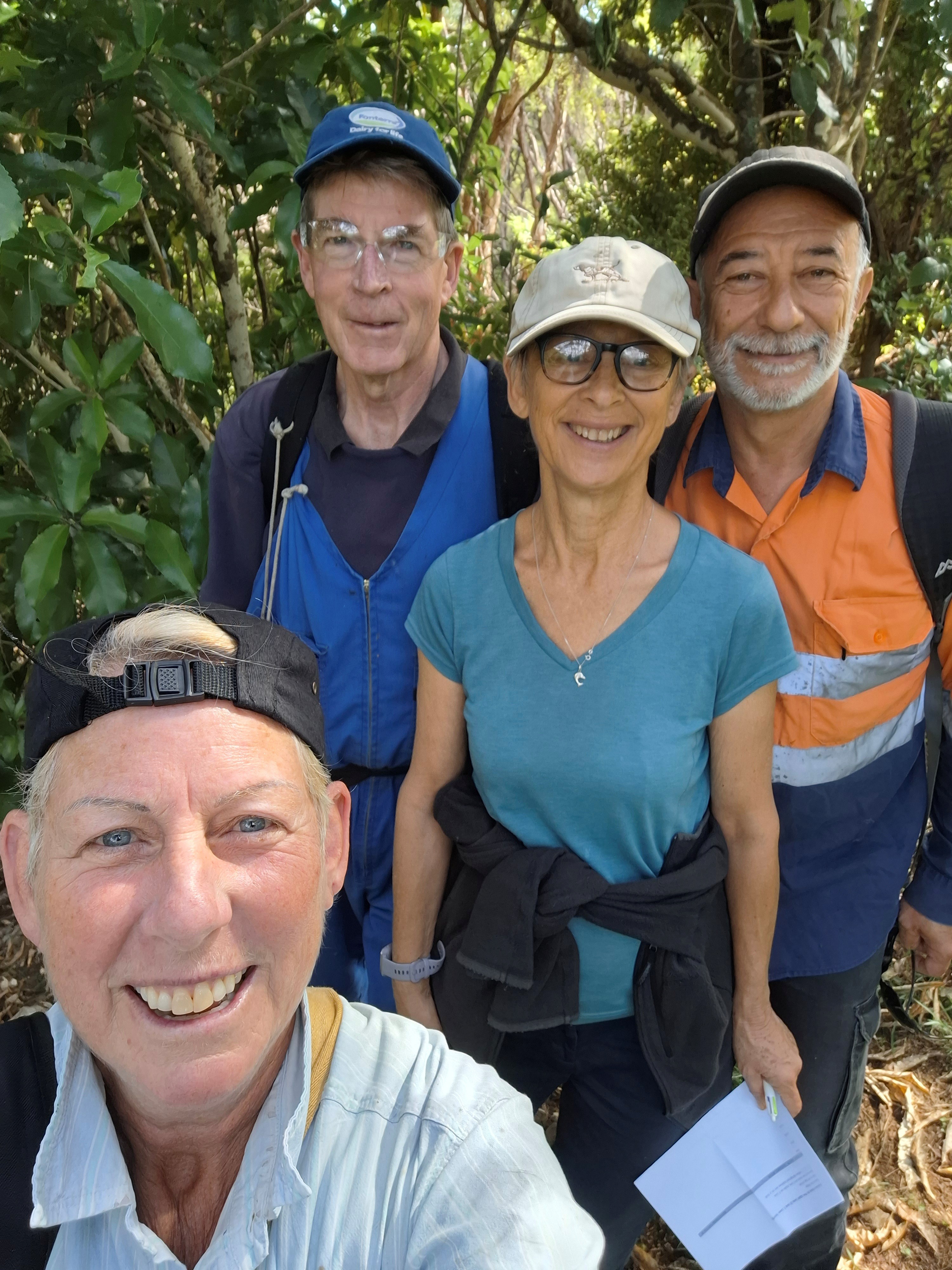 Pouteria volunteers