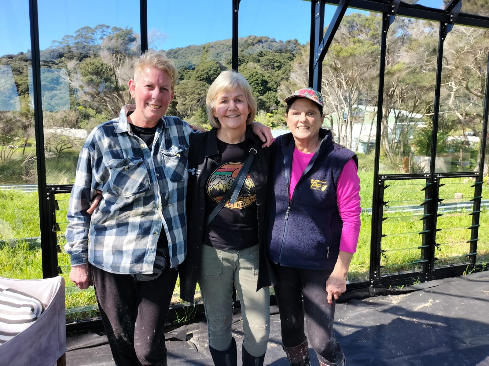 Pouteria volunteers