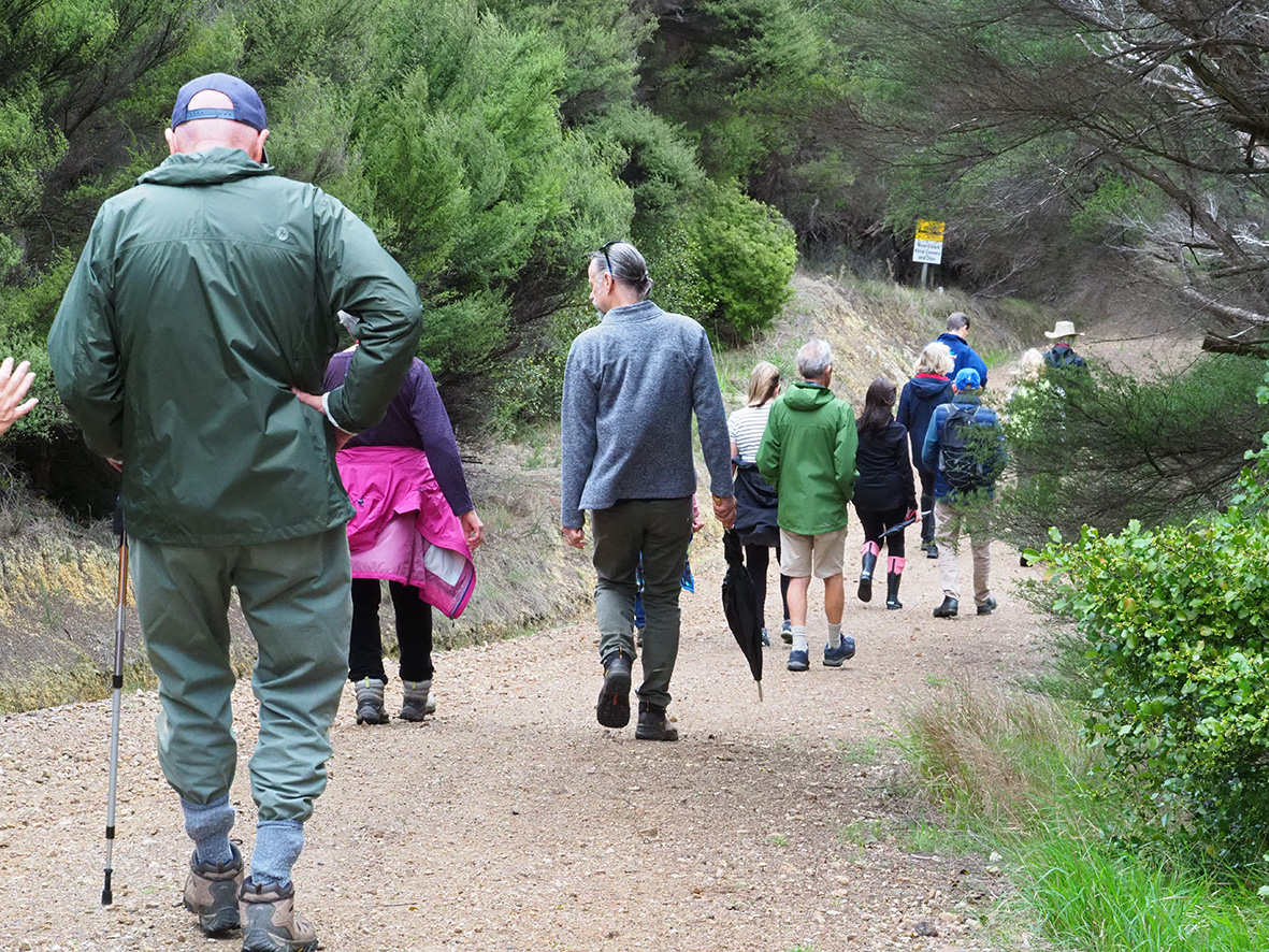 Pouteria volunteers walking the Te Matuku Bay reserve track